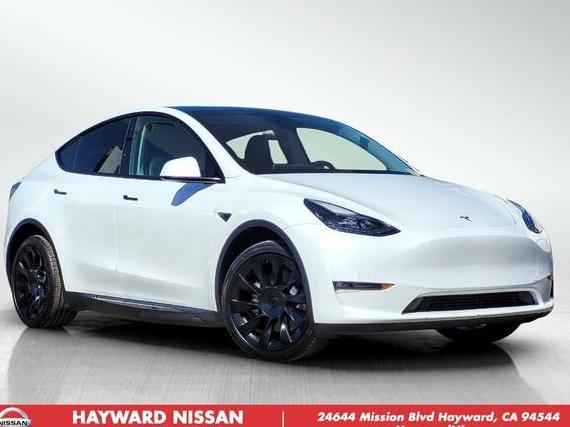 TESLA MODEL Y 2023 7SAYGDEE1PF591271 image